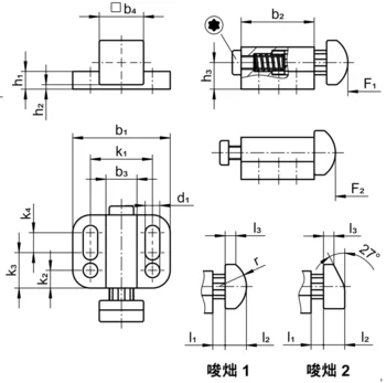                                             Spring Push Plunger 附水平或螺絲凸緣
 IM0017728 Zeichnung tw
